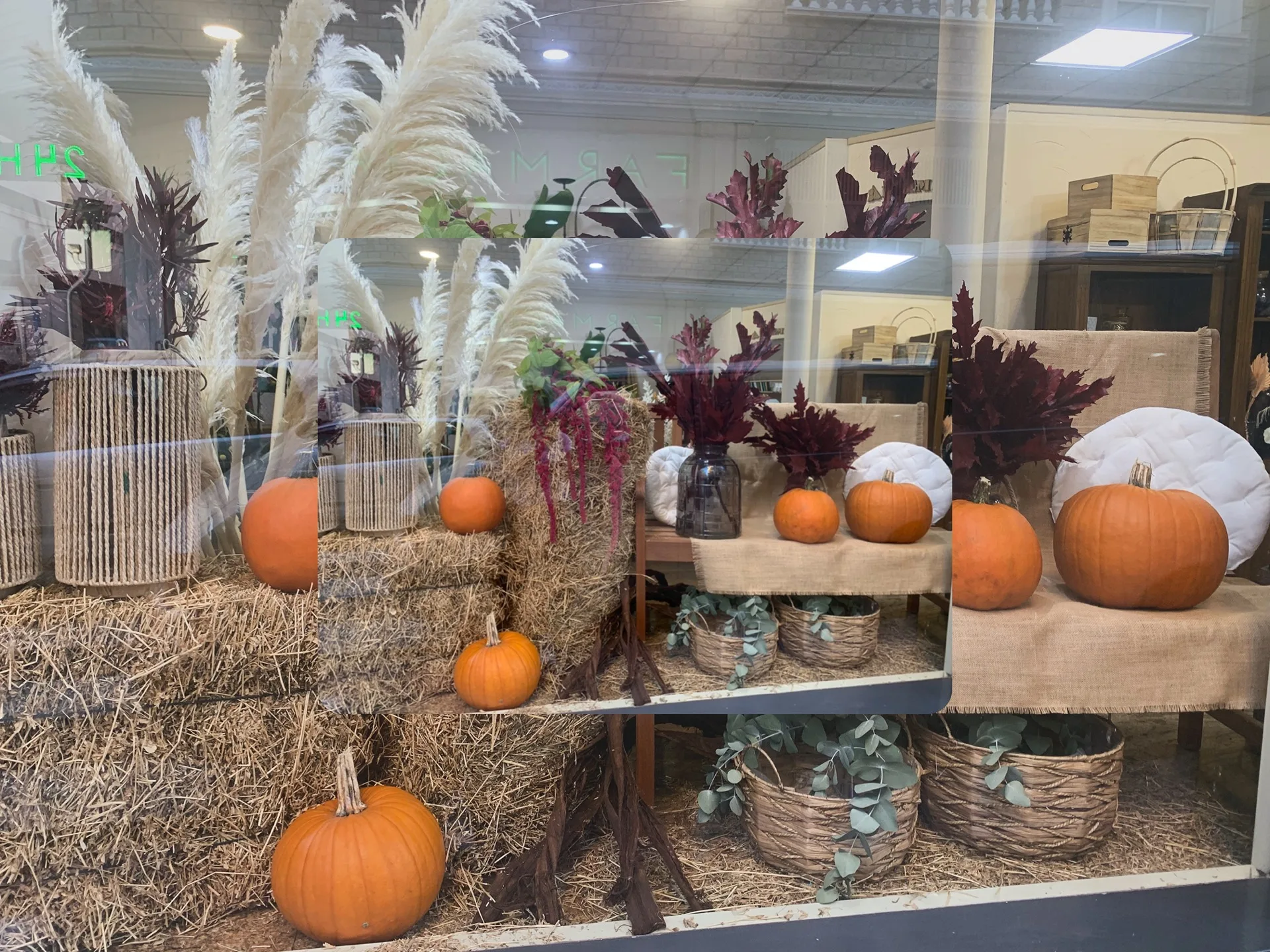 Eventos de Artemisa Floristas en Torrevieja — ejemplo 10
