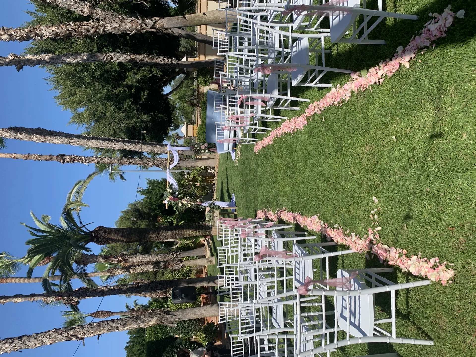 Eventos de Artemisa Floristas en Torrevieja — ejemplo 21