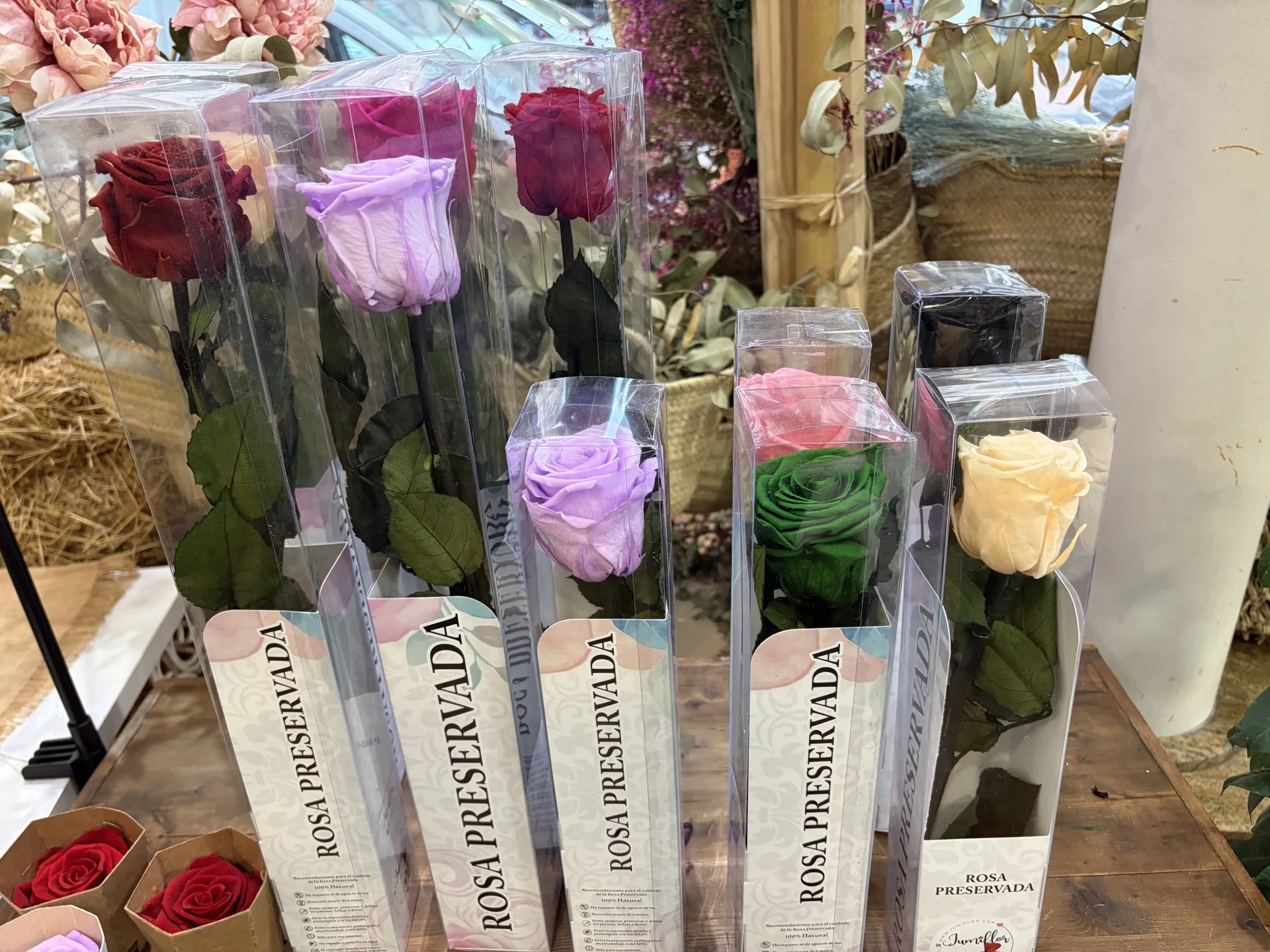 Flor seca y preservada de Artemisa Floristas en Torrevieja — ejemplo 14