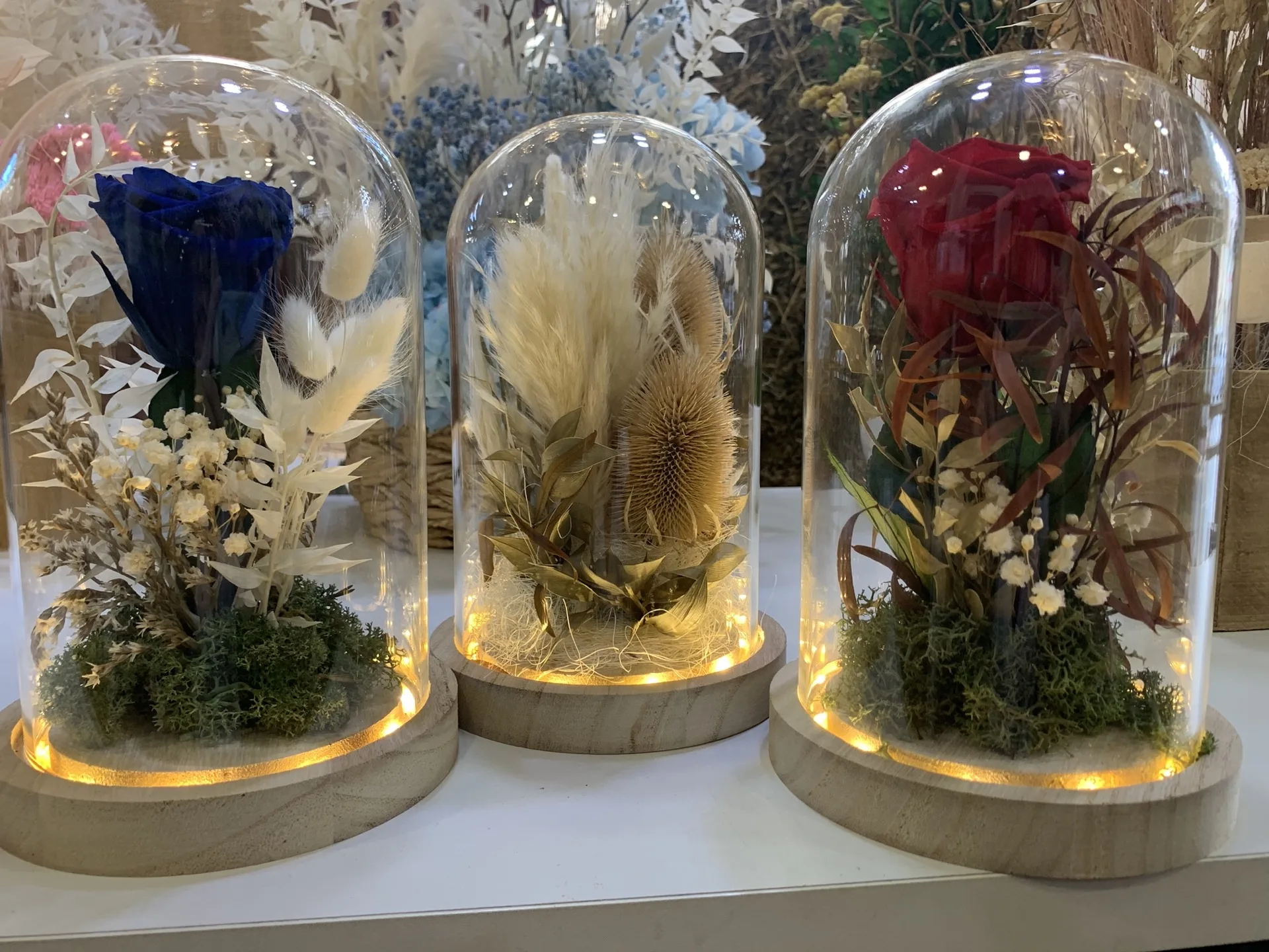 Flor seca y preservada de Artemisa Floristas en Torrevieja — ejemplo 20