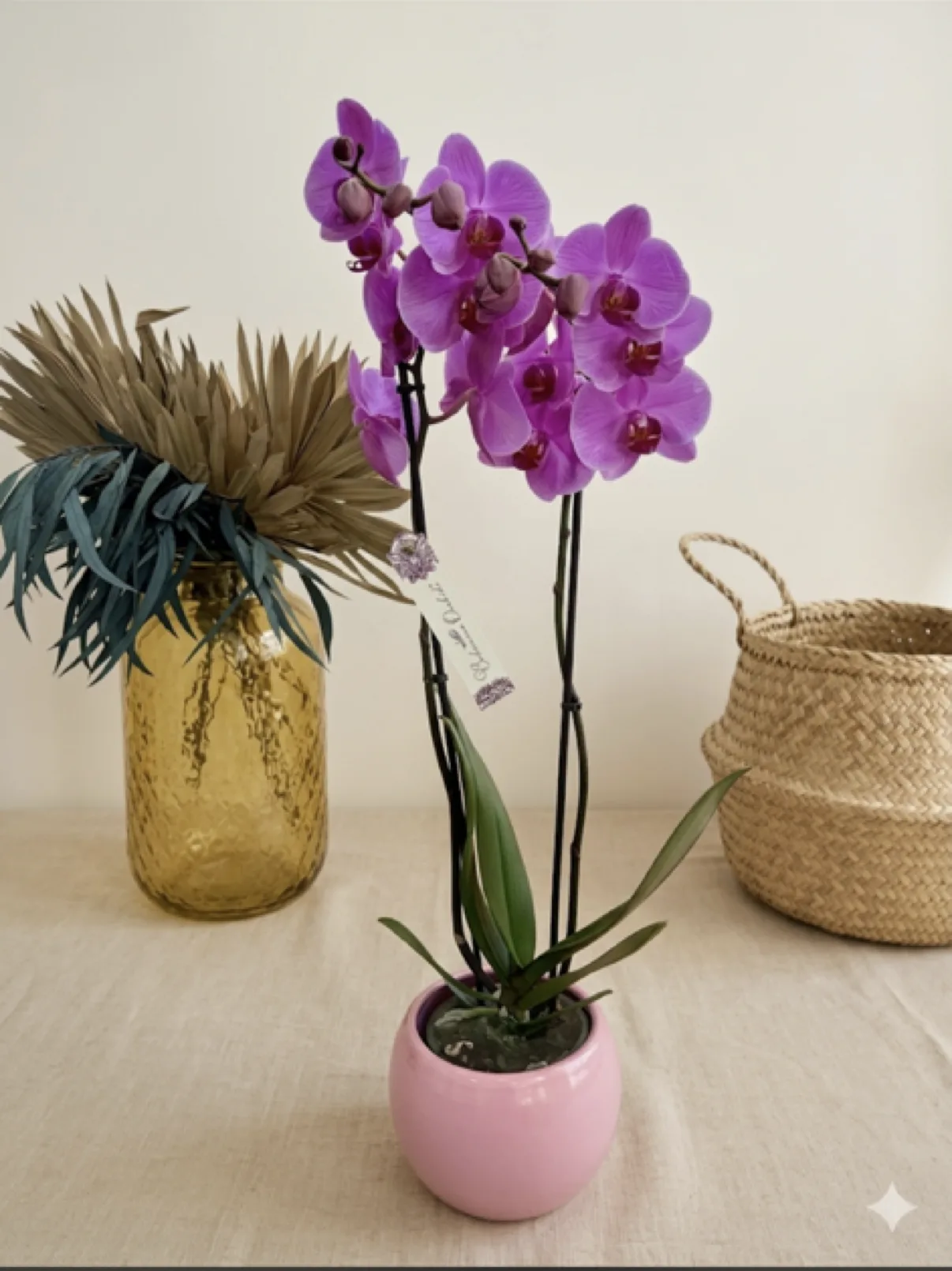 Plants by Artemisa Floristas in Torrevieja — example 5
