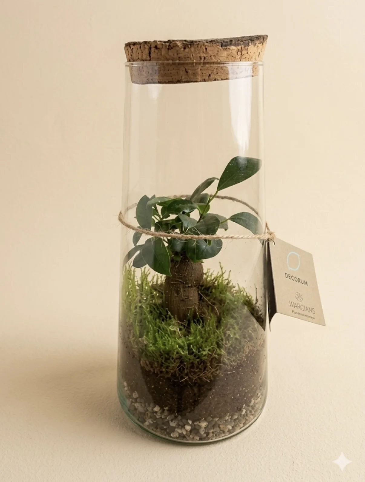Plantas de Artemisa Floristas en Torrevieja — ejemplo 10