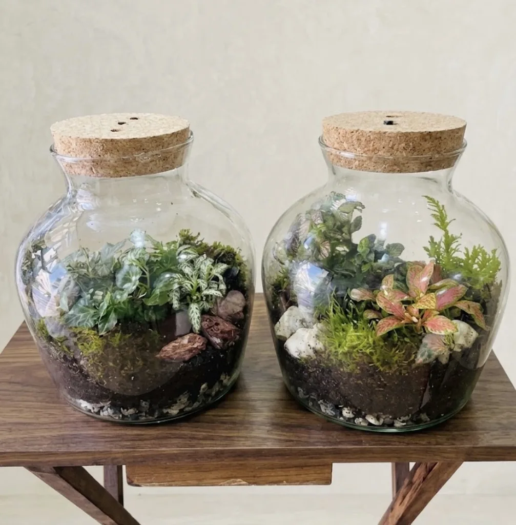 Plantas de Artemisa Floristas en Torrevieja — ejemplo 13
